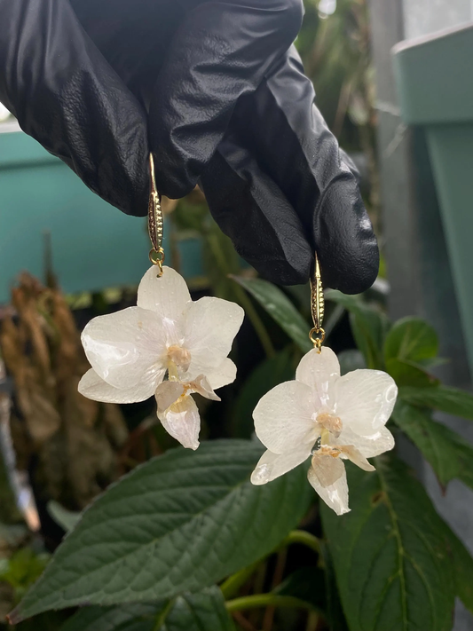 Mini Weiße Orchideen Ohrstecker Ohrringe Edelstahl 18k