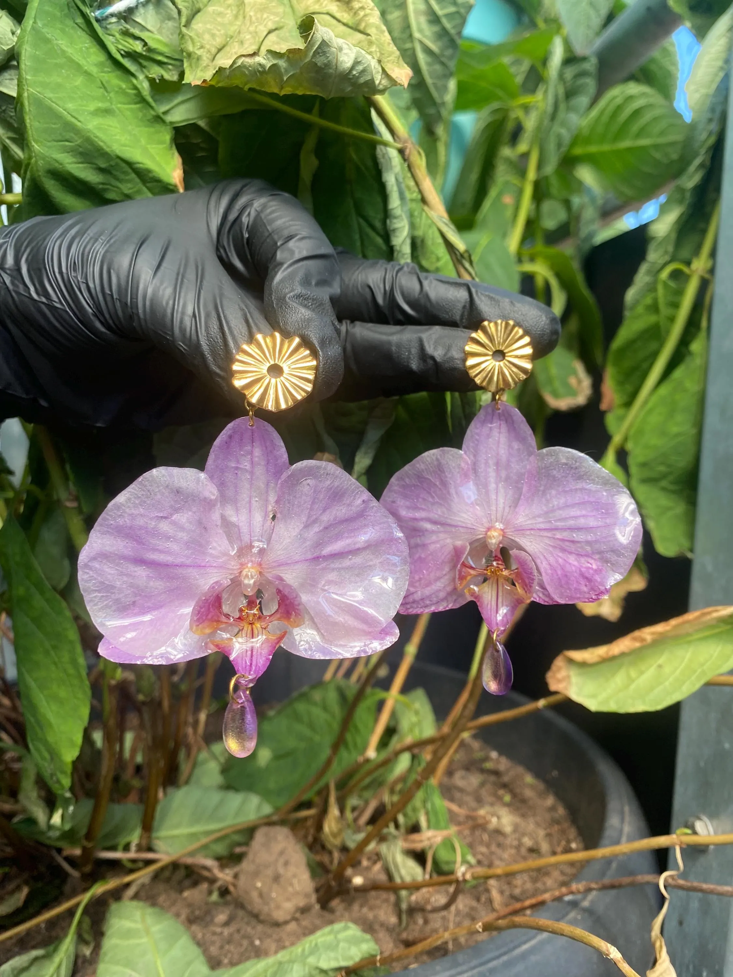 Helllila Lila Gestreifte Orchideen Ohrringe Ohrstecker Edelstahl Süßwasserperle