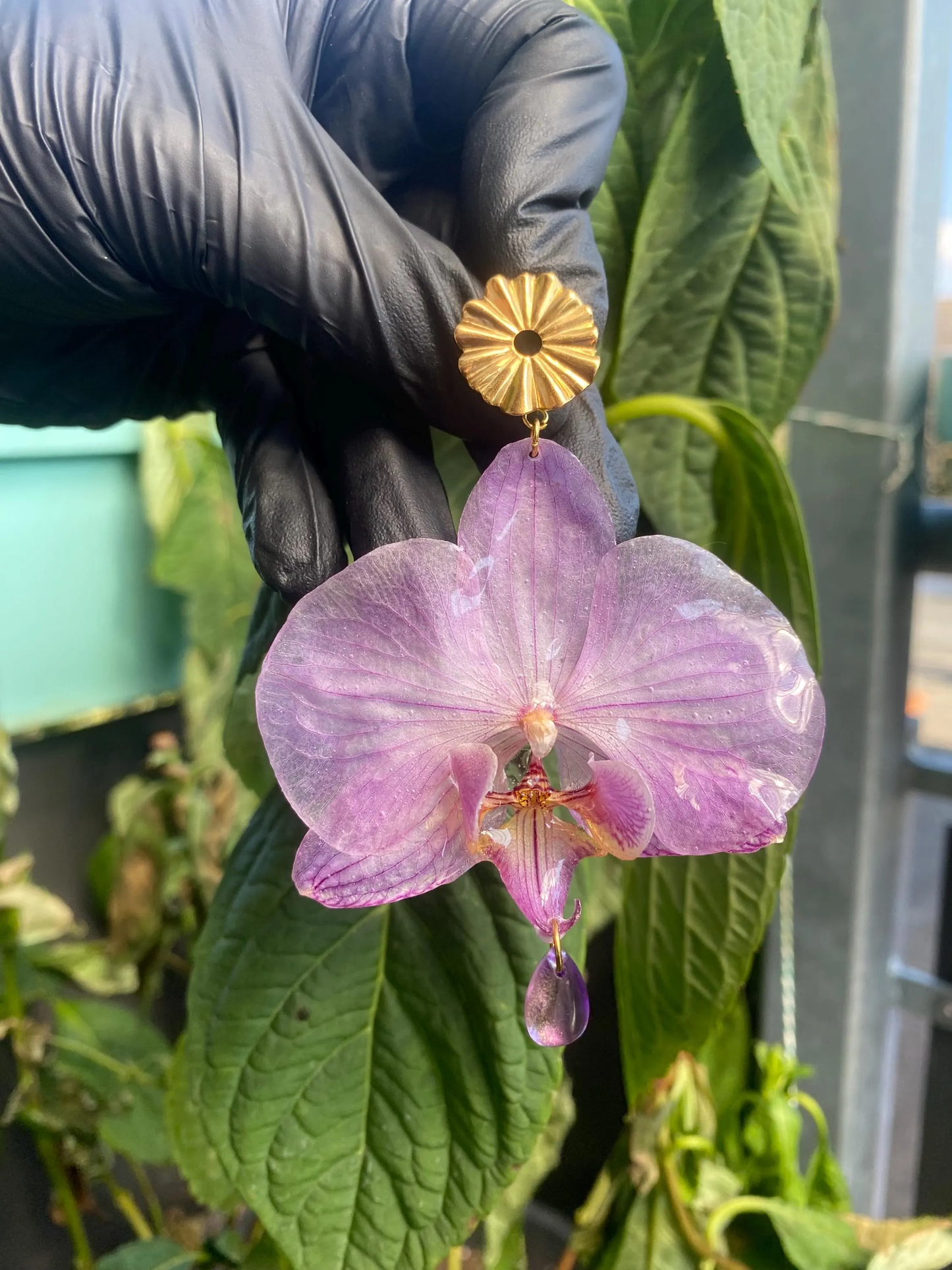 Helllila Lila Gestreifte Orchideen Ohrringe Ohrstecker Edelstahl Süßwasserperle