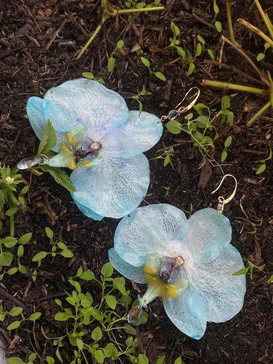 Blue Light Blue Dark Blue Orchid Earrings 18k Gold