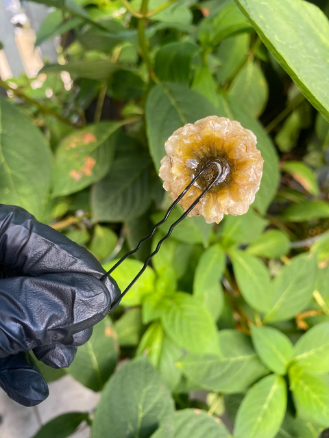 Cremeweiß Weißer Dahlia Haarstecker Haarpin Haarkamm Haarschmuck