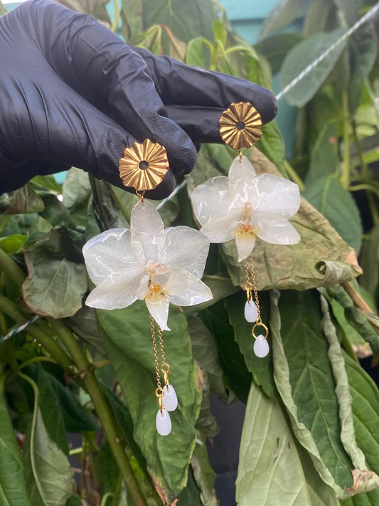 Small White Yellow Orchid Stud Earrings