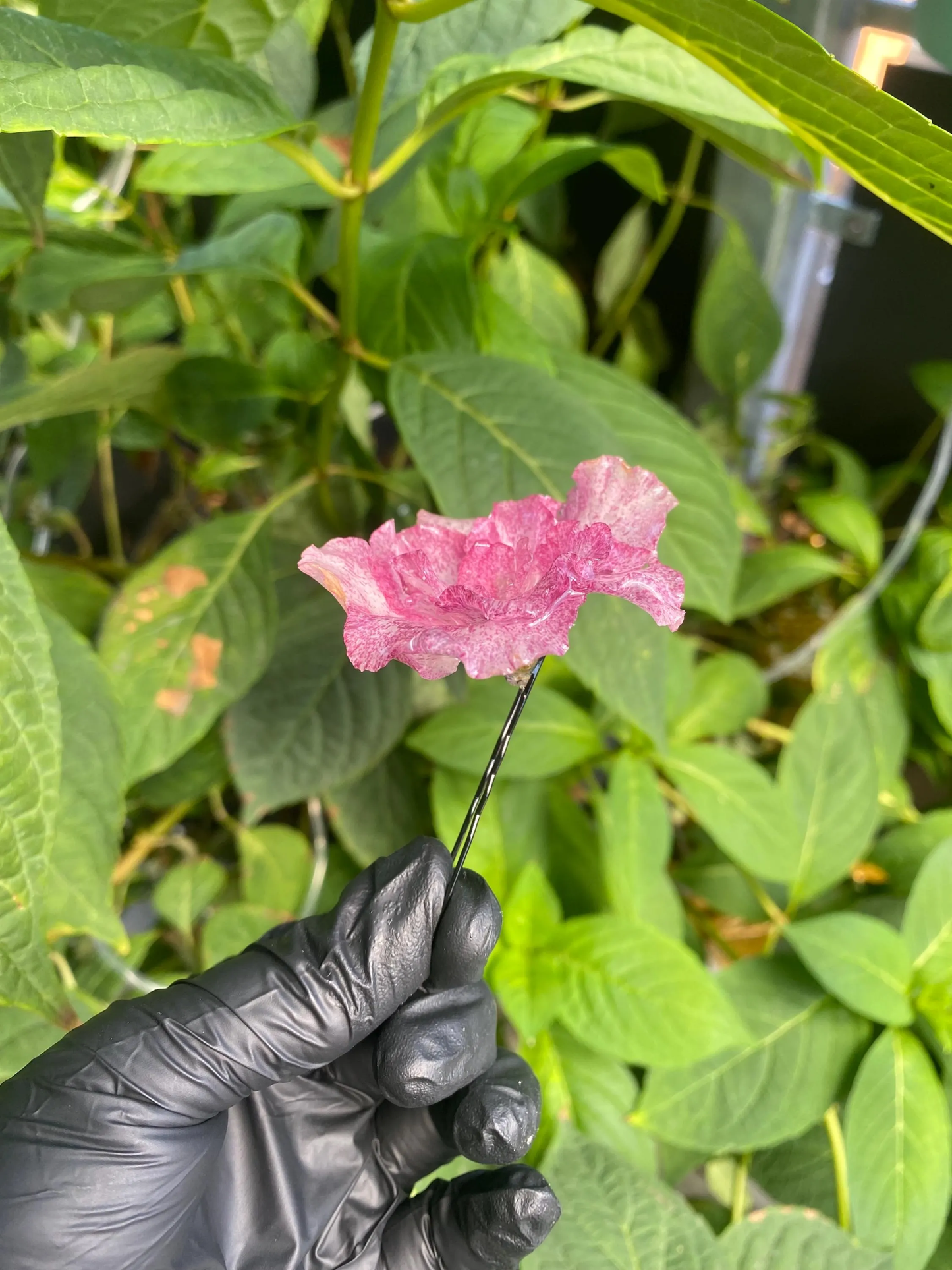 Pink White Pink Azalea Hair Pin Hair Pin Hair Comb