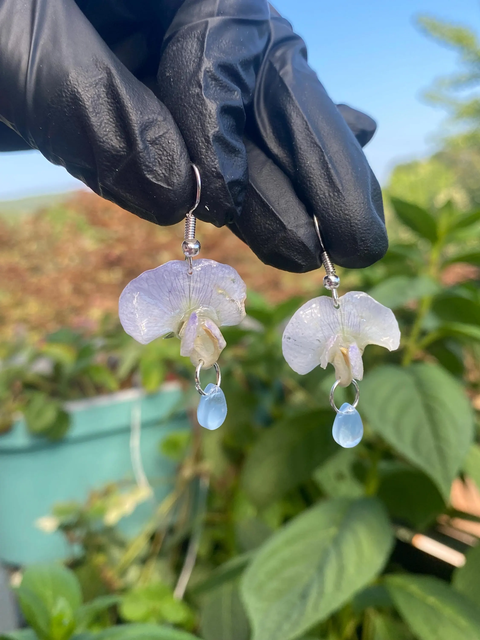 Purple White Light Purple Sweet Pea Earrings 925 Silver