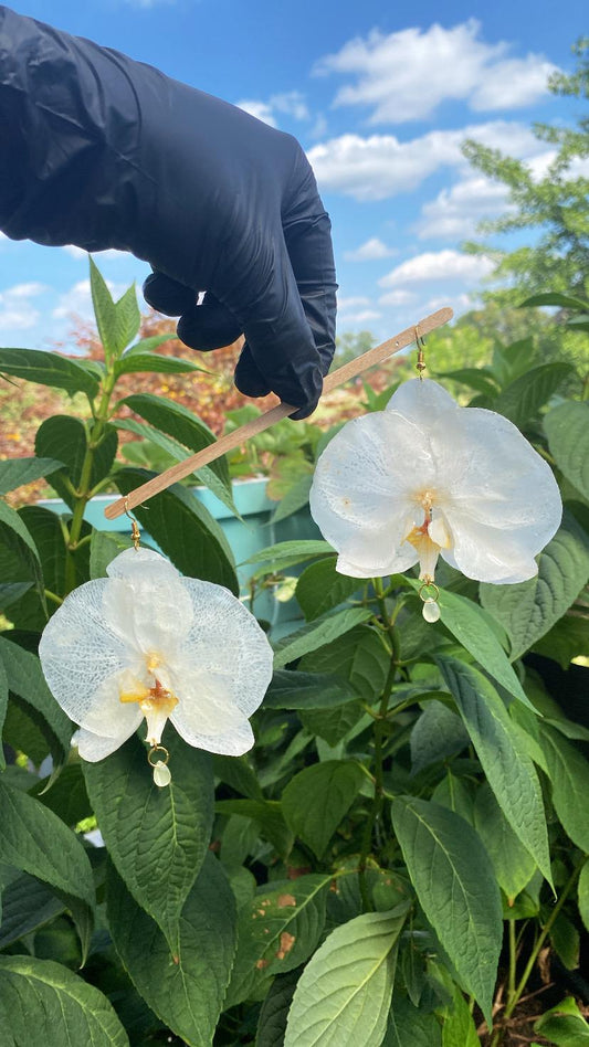 White Yellow Orchid Earrings 18k Gold