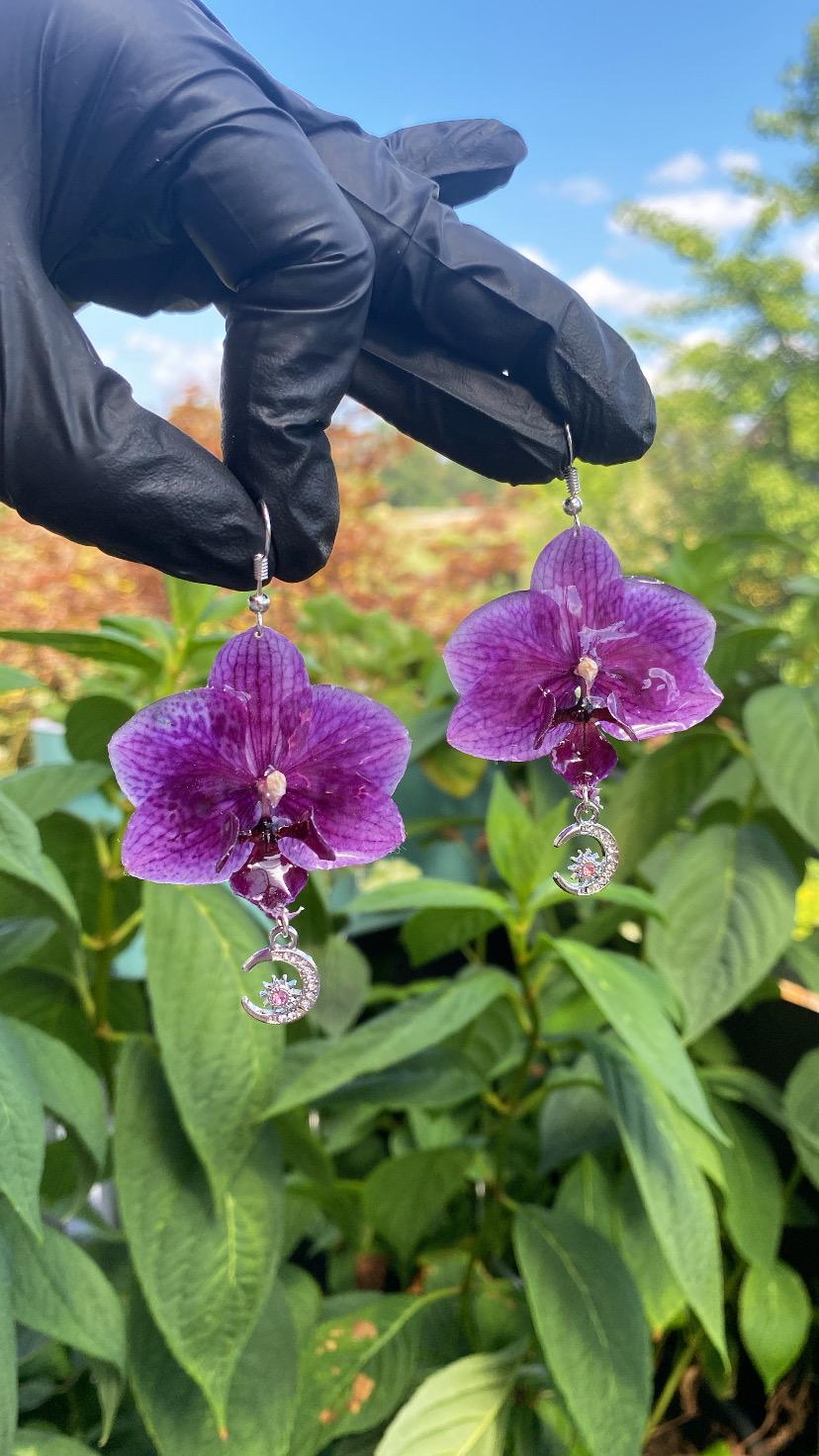 Small Dark Purple Moon Orchid Earrings 925 Silver