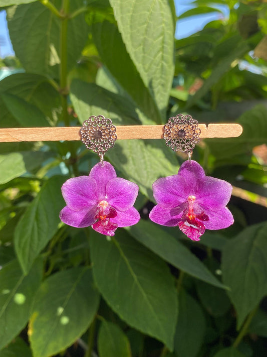 Mini Dark Purple Orchid Earrings Stainless Steel 14k Gold Filled