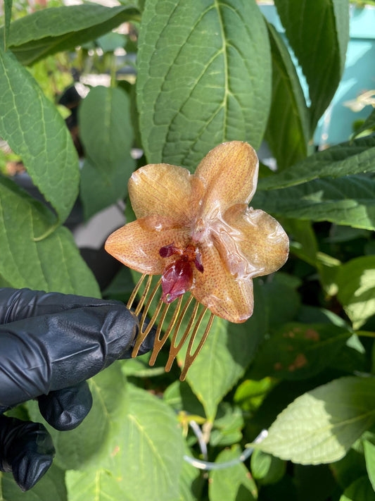 Yellow Brown Orchids Hairpin Hair Comb