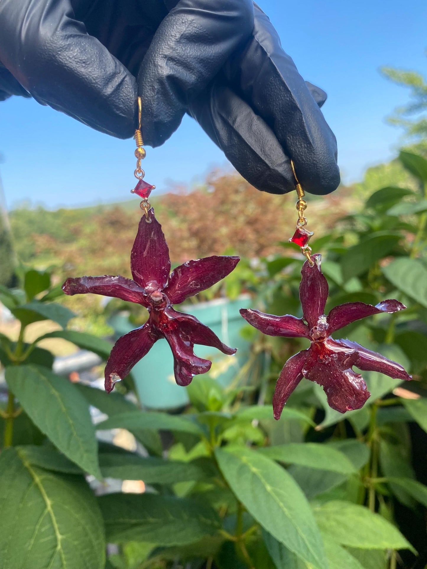 Dark Red Oncidium Orchid Earrings 18k Gold