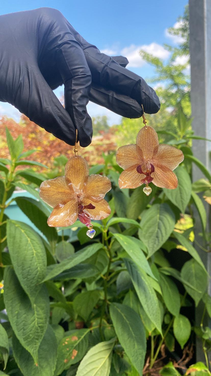 Small Yellow Brown Orchid Earrings 18k Gold