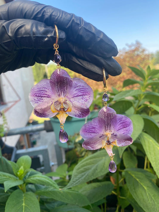 Purple Yellow Striped Orchid Earrings