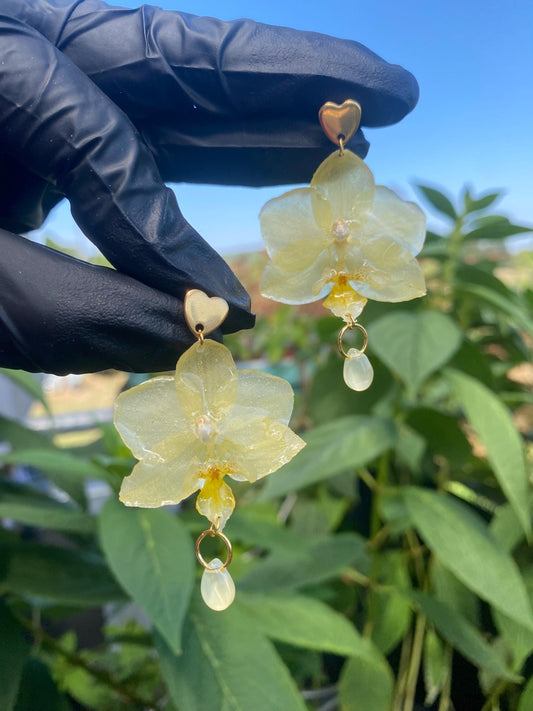 Small Light Yellow Orchid Stud Earrings