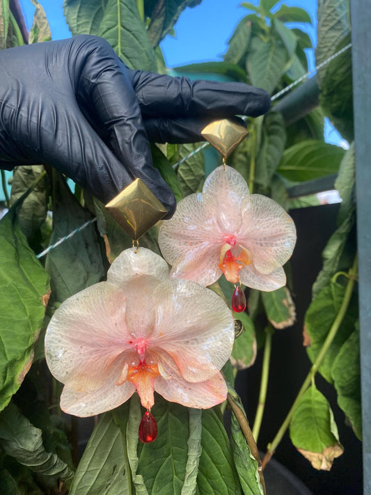 Orange Gelb Weiße Orchideen Ohrringe Ohrstecker Edelstahl