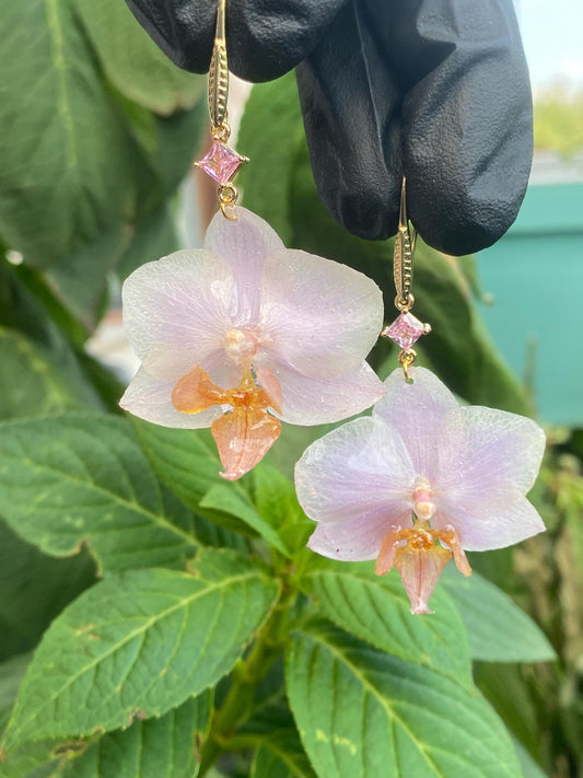 Small Light Pink Orchid Earrings 18k Gold