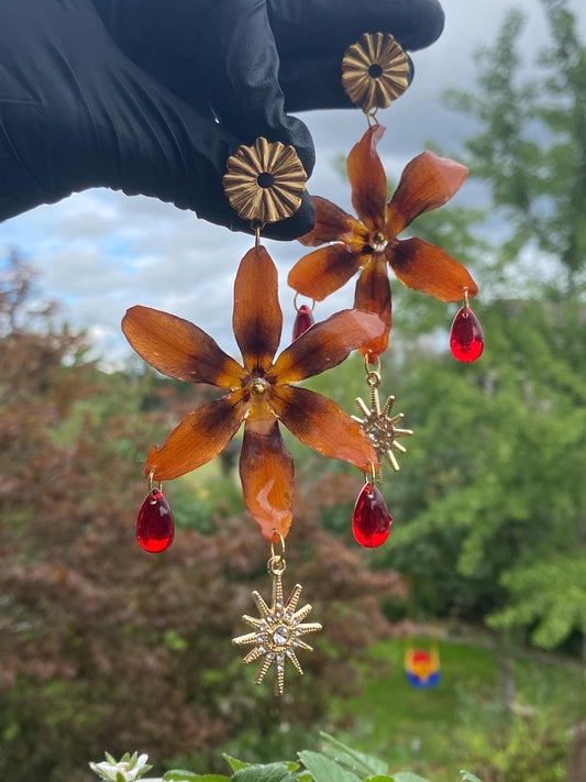 Orange Monbretia Earrings Studs Stainless Steel Sun