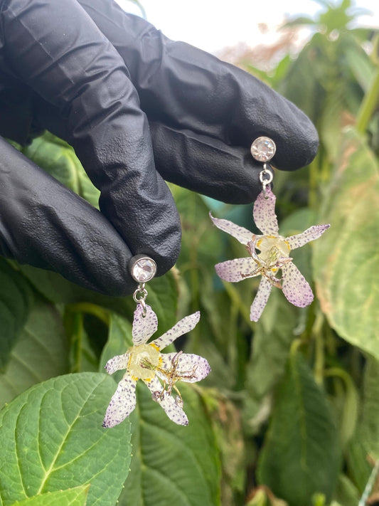 White Purple Japanese Toad Lily Earrings Studs Stainless Steel