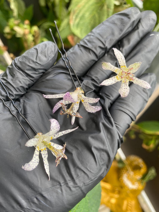 White Purple Japanese Toad Lily Hair Pin Hair Stick