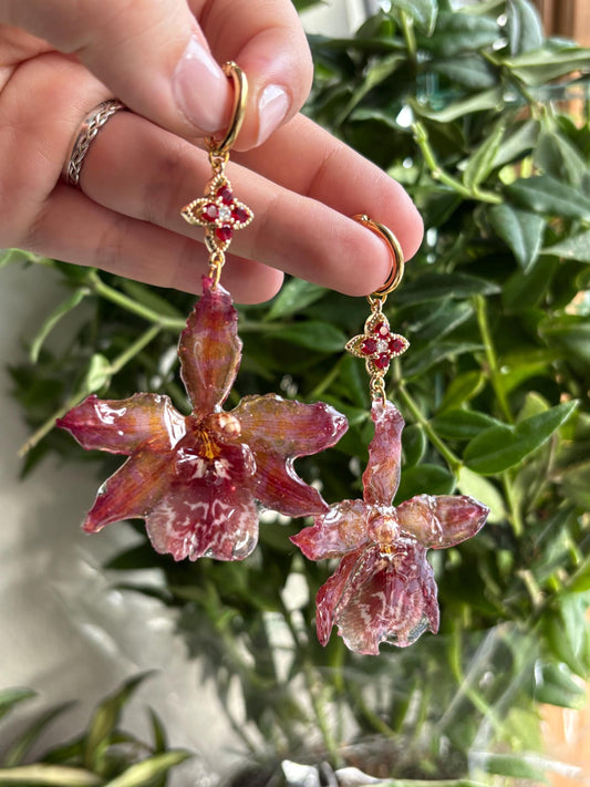 Red Cambria Orchid Earrings Stainless Steel