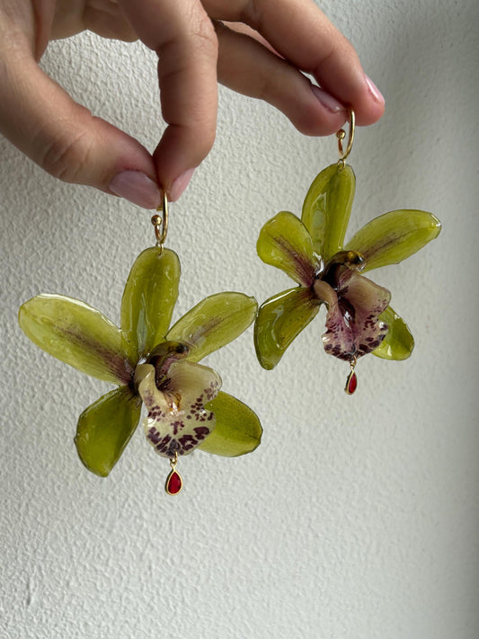 Light Green Cymbidium Orchid Earrings 18k Gold